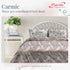 Carmic King Size 100% Cotton Bedsheet with Pillow Covers by Florida